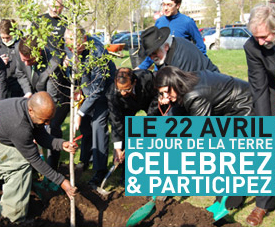 Le 22 avril - Plantation