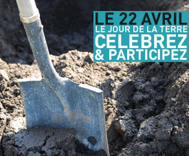 Plantation - Participez