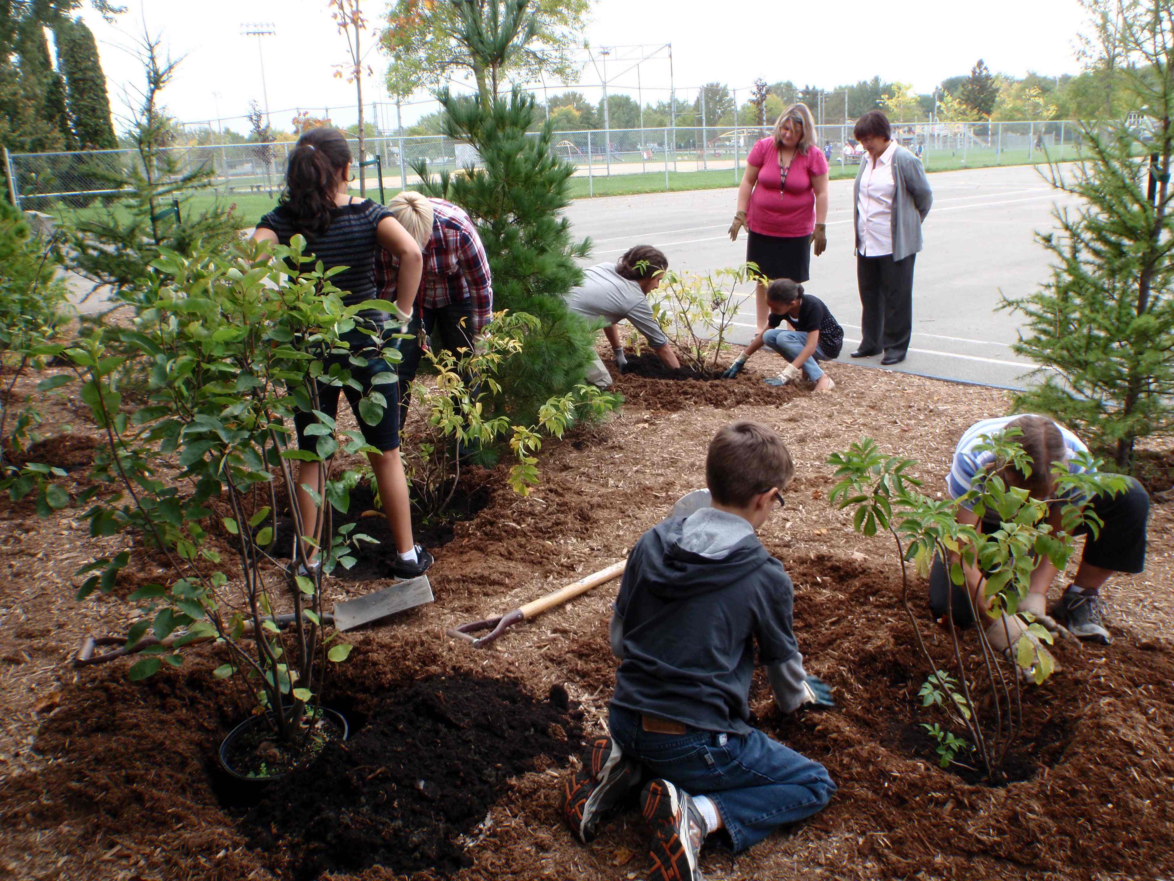 Plantation des arbustes - 22 septembre