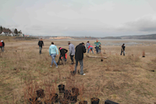 Plantation saguenay