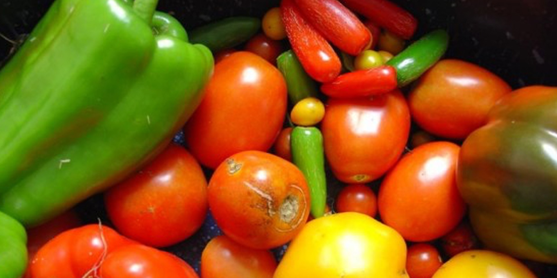 jour_de_la_terre_quebec_qc_blog_trucs_et_astuces_a_vos_frigos