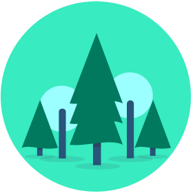 Faites_un_don_375000_arbres_5arbre