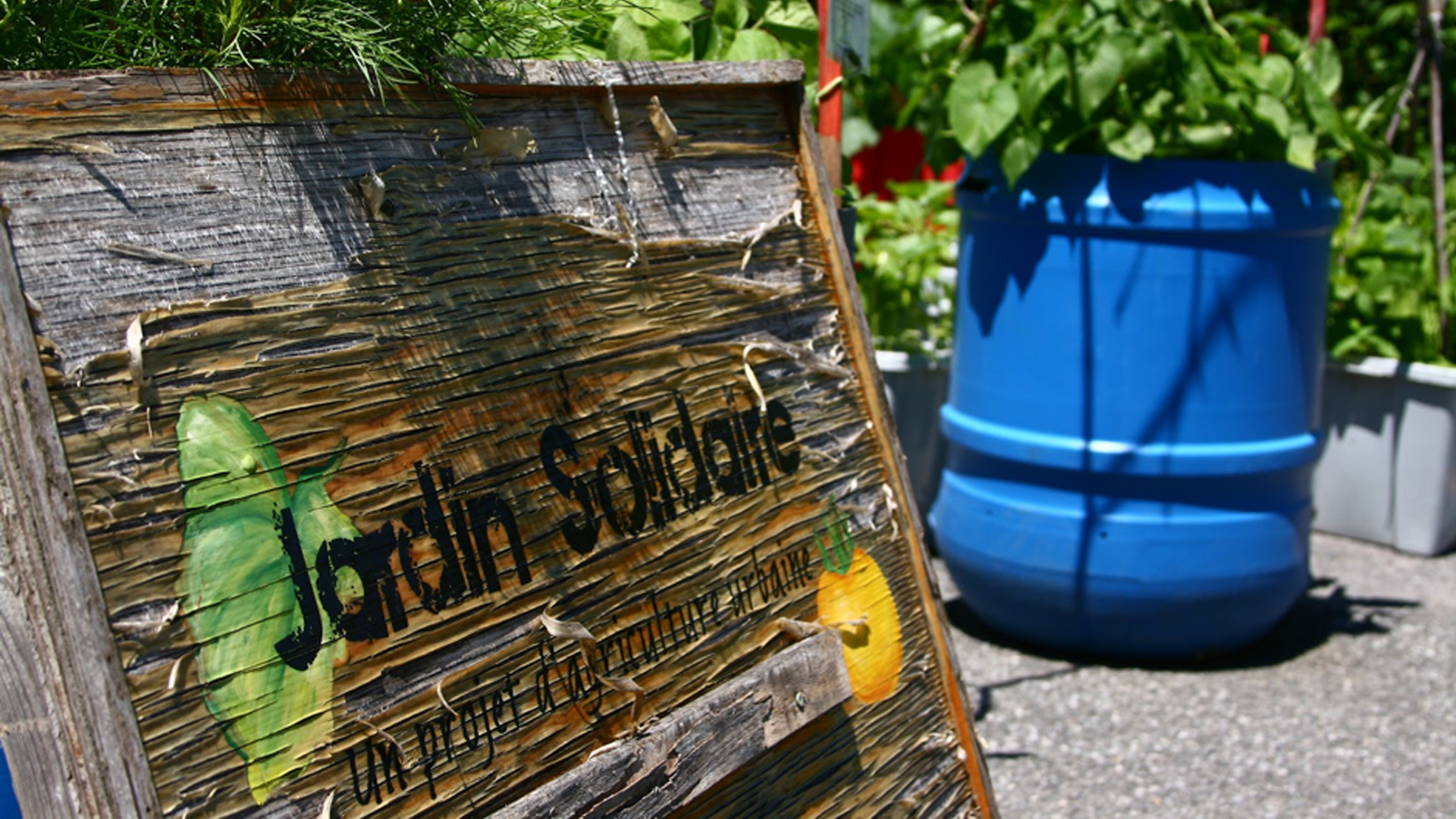 jour_de_la_terre_quebec_qc_blogue_tous_les_jours_porteur_espoir_laurence_williams_agriculture_6