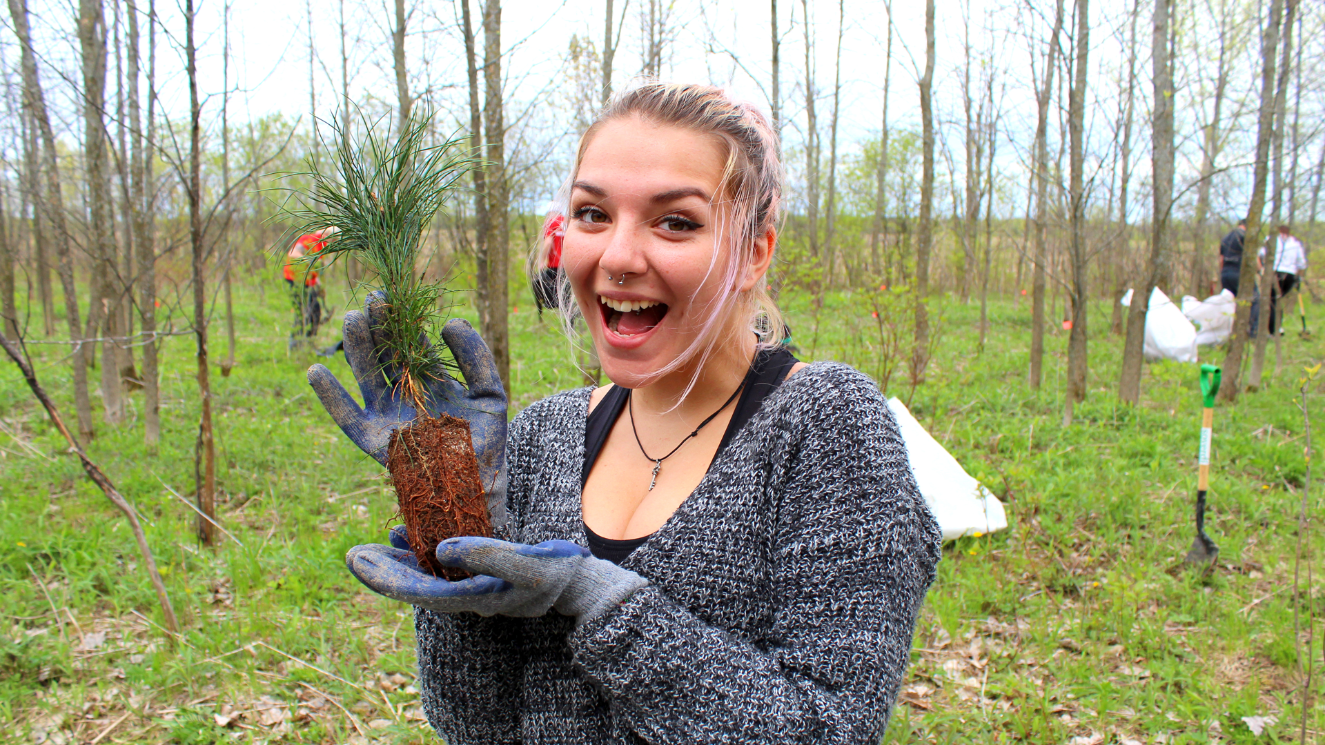 Blogue_3750000arbres_article_le_reboisement_en_milieu_municipal_2