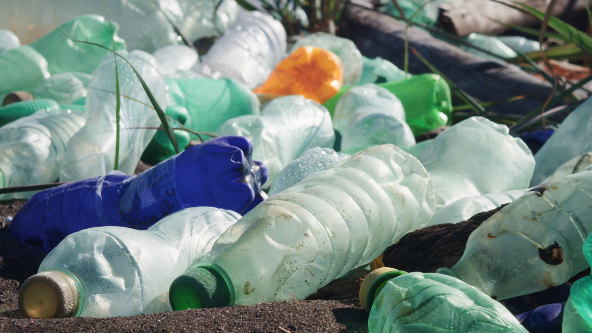 Jour_de_la_terre_quebec_site_web_blogue_planete_plastique_pas_pour_nous1