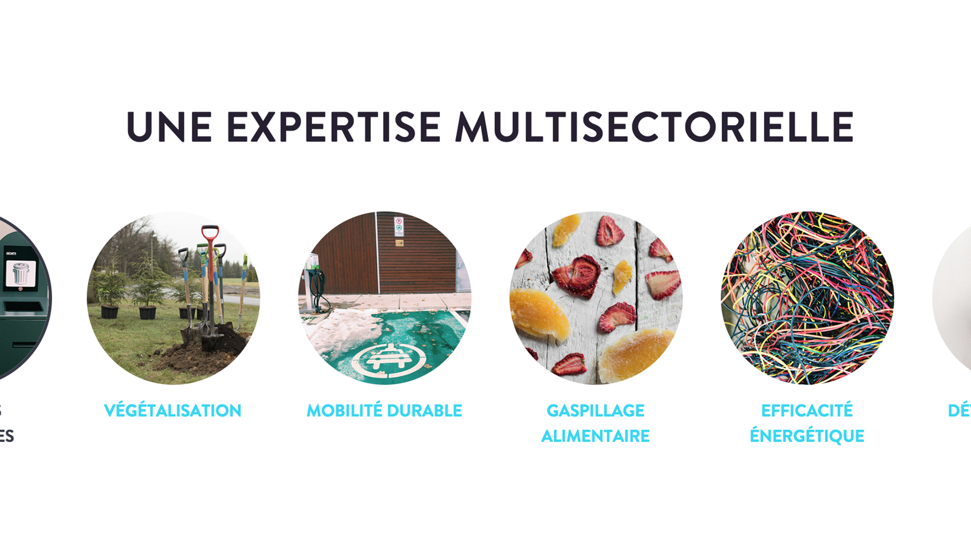 jour_de_la_terre_organisation_nos_services_2