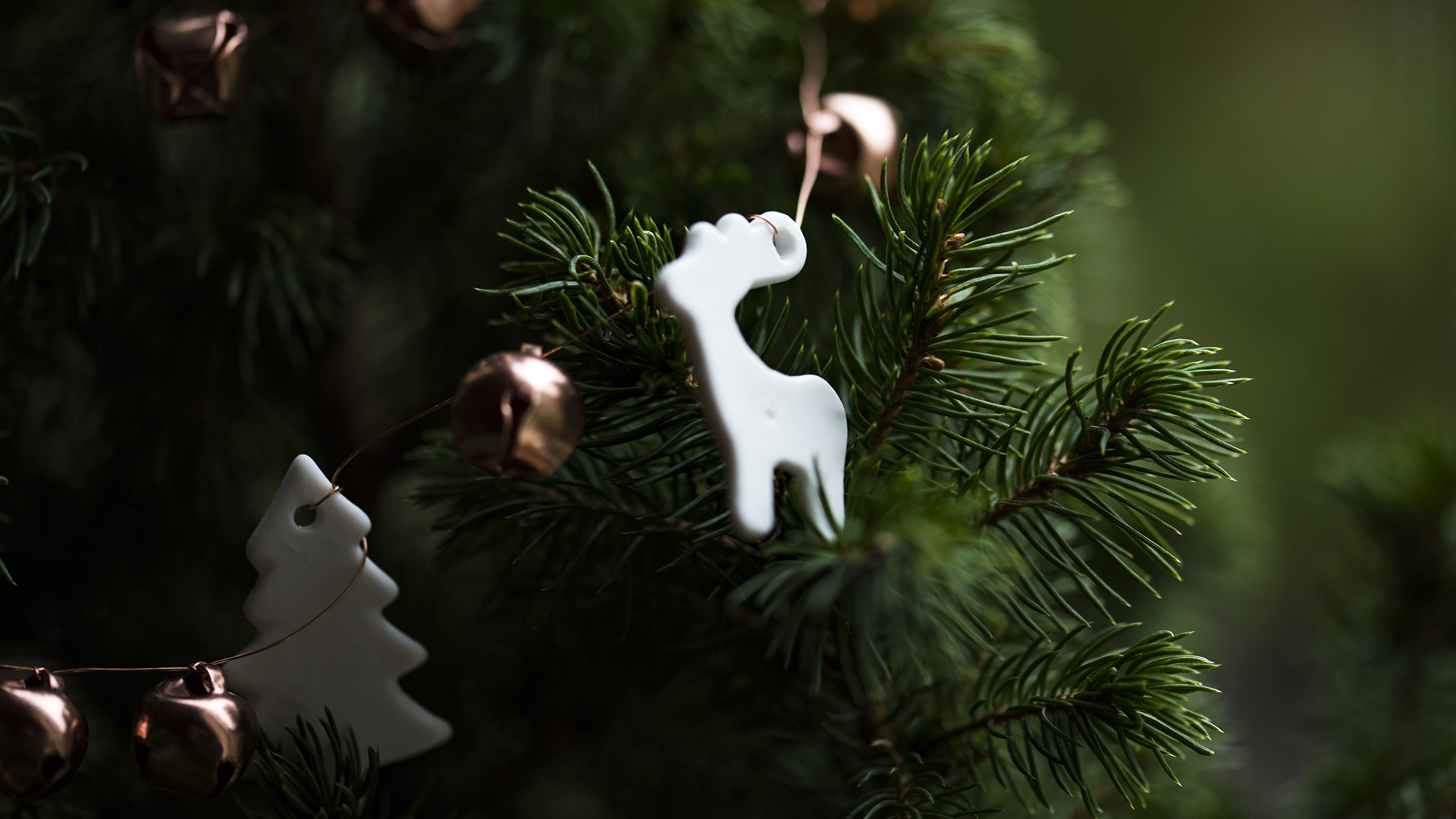Jour_de_la_terre_blogue_2018_l_etrange_noel_anti-gaspillage_de_devoreur_celui_qui_voulait_voler_Noel_couv