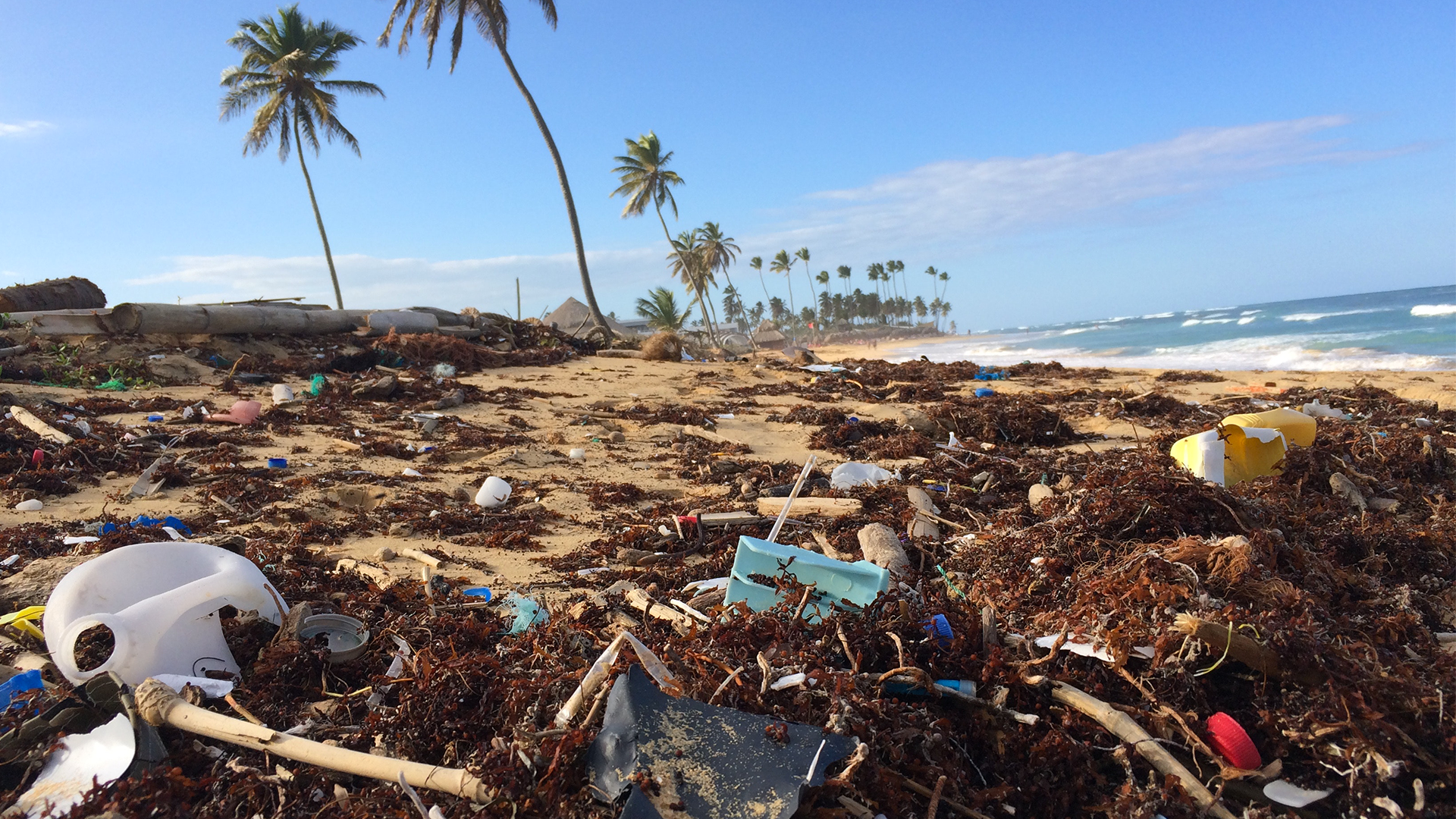 Jour_de_la_Terre_Blogue_2019_Réduire_l'impact_de_son_alimentation_sur_l'environnement_tout_en _se_faisant_plaisir_Édith_Ouellet_3