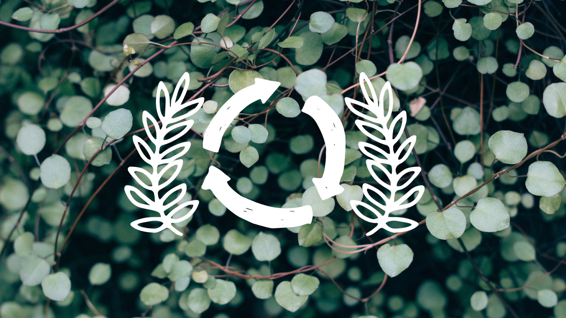 Eco-02---copie