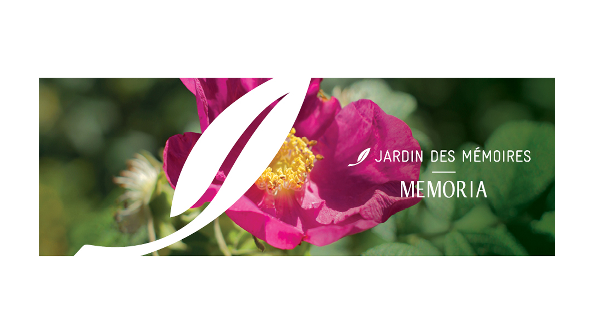 jour_de_la_terre_blogue_les_nouvelles_communique_lancement_campagne_memoria_2019