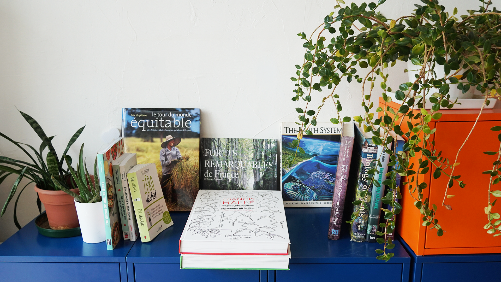 Blogue_2019_Les_lectures_inspirantes_de_l'equipe_du_Jour_de_la_Terre_couv