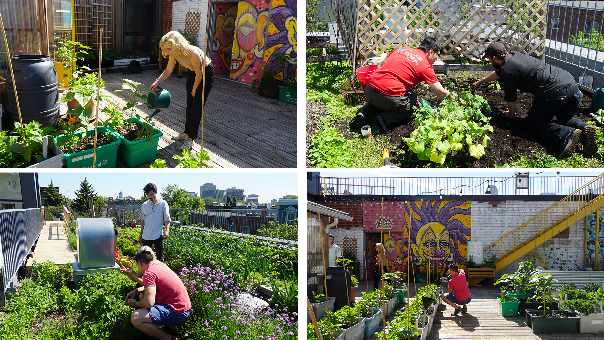 le_santropol_roulant_la_communaute_au_coeur_de_lagriculture_urbaine_1